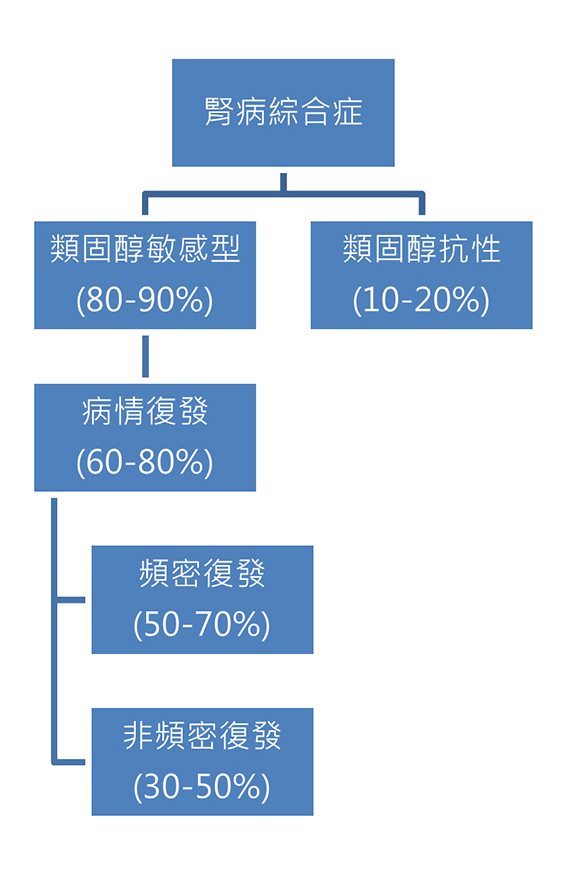 腎病綜合症患者對治療的反應